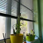 Apartment Fresh Golem (Tirana)