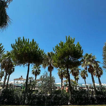 Fresh * Golem (Tirana)