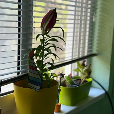 Appartamento Fresh *