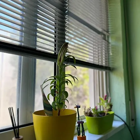 Appartamento Fresh Golem (Tirana)