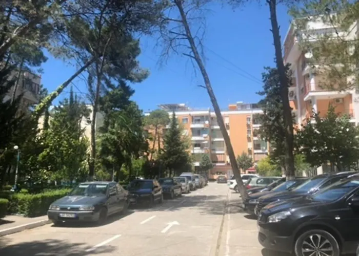 Fresh * Golem (Tirana)